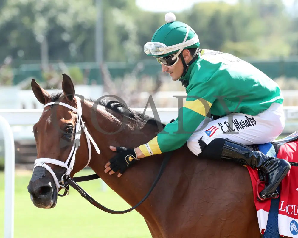 Musical Mischief - The Fasig-Tipton Locust Grove G2 09-14-24 R07 Cd Come Back 02 Churchill Downs