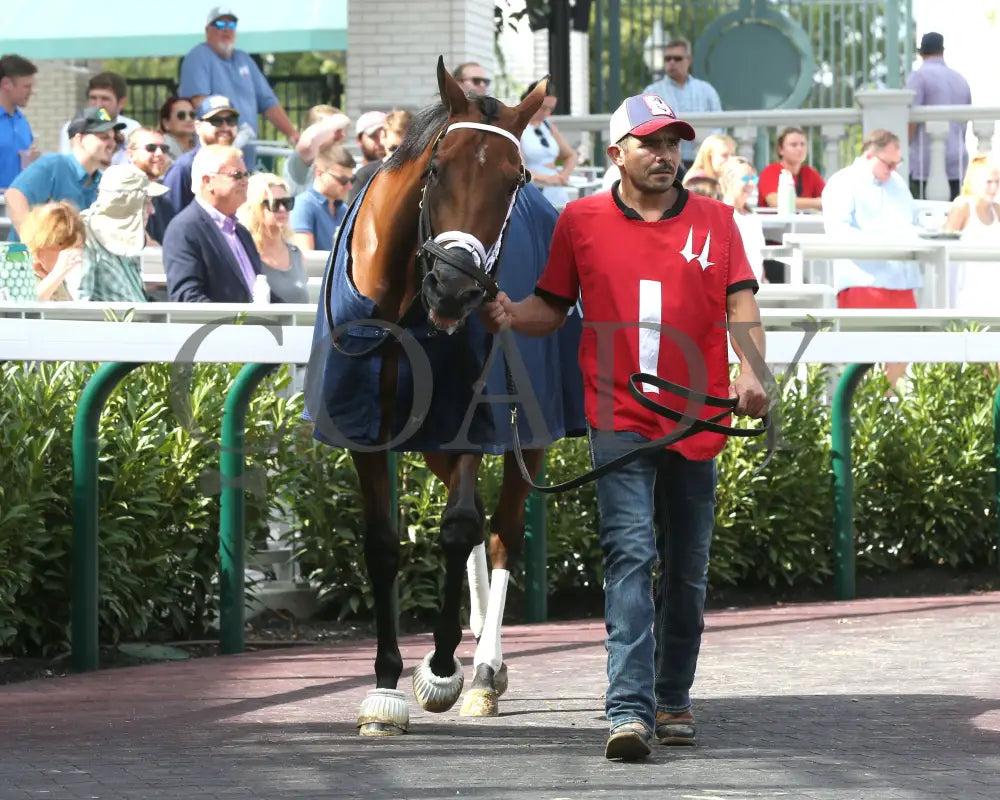 Musical Mischief - The Fasig-Tipton Locust Grove G2 09-14-24 R07 Cd Paddock 01 Churchill Downs