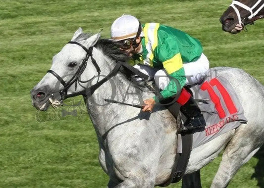 Musketier - The Elkhorn Gr Ii Keeneland