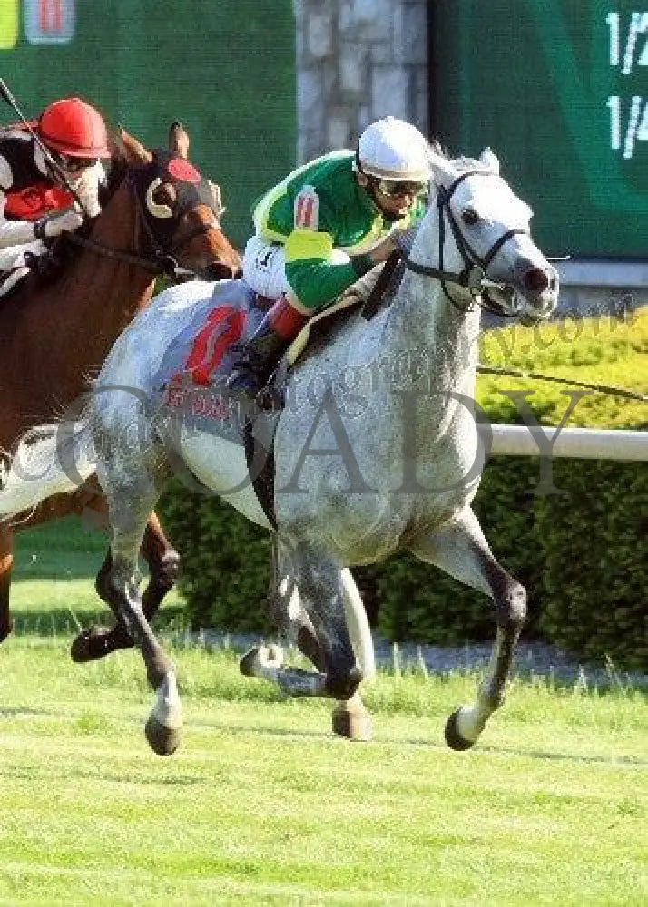 Musketier - The Elkhorn Gr Ii Keeneland