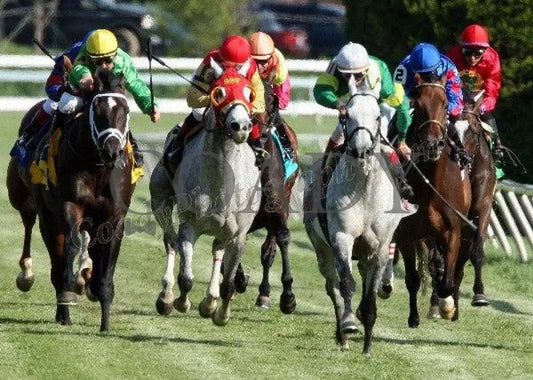 Musketier - The Elkhorn Gr Ii Keeneland