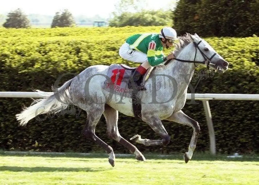 Musketier - The Elkhorn Gr Ii Keeneland