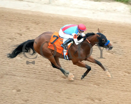 Muth - The 88Th Running Of Arkansas Derby G1 03 - 30 - 24 R12 Op Aerial Finish 01 Oaklawn Park