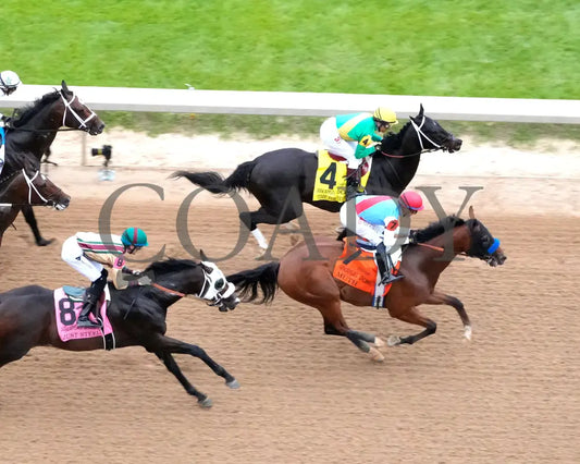 Muth - The 88Th Running Of Arkansas Derby G1 03-30-24 R12 Op Aerial First Pass 02 Oaklawn Park