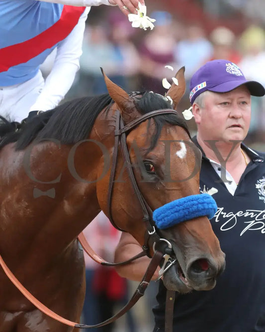 Muth - The 88Th Running Of Arkansas Derby G1 03 - 30 - 24 R12 Op Come Back 02 Oaklawn Park