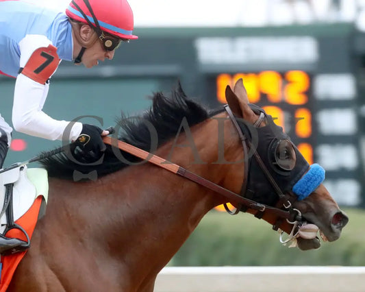 Muth - The 88Th Running Of Arkansas Derby G1 03 - 30 - 24 R12 Op Gallop Out 02 Oaklawn Park