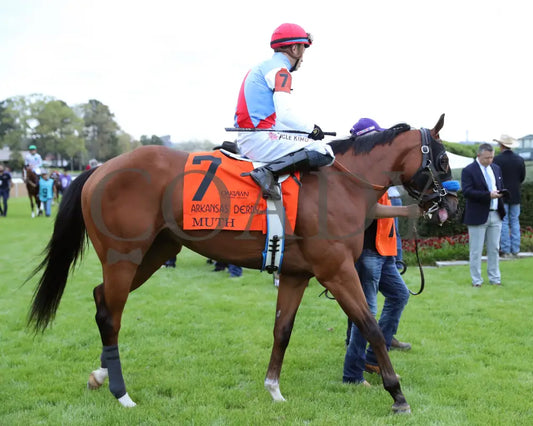 Muth - The 88Th Running Of Arkansas Derby G1 03 - 30 - 24 R12 Op Paddock 05 Oaklawn Park