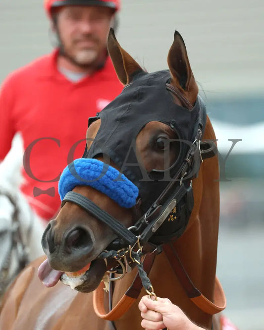 Muth - The 88Th Running Of Arkansas Derby G1 03-30-24 R12 Op Paddock 03 Oaklawn Park