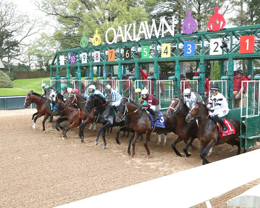 Muth - The 88Th Running Of Arkansas Derby G1 03 - 30 - 24 R12 Op Start 01 Oaklawn Park