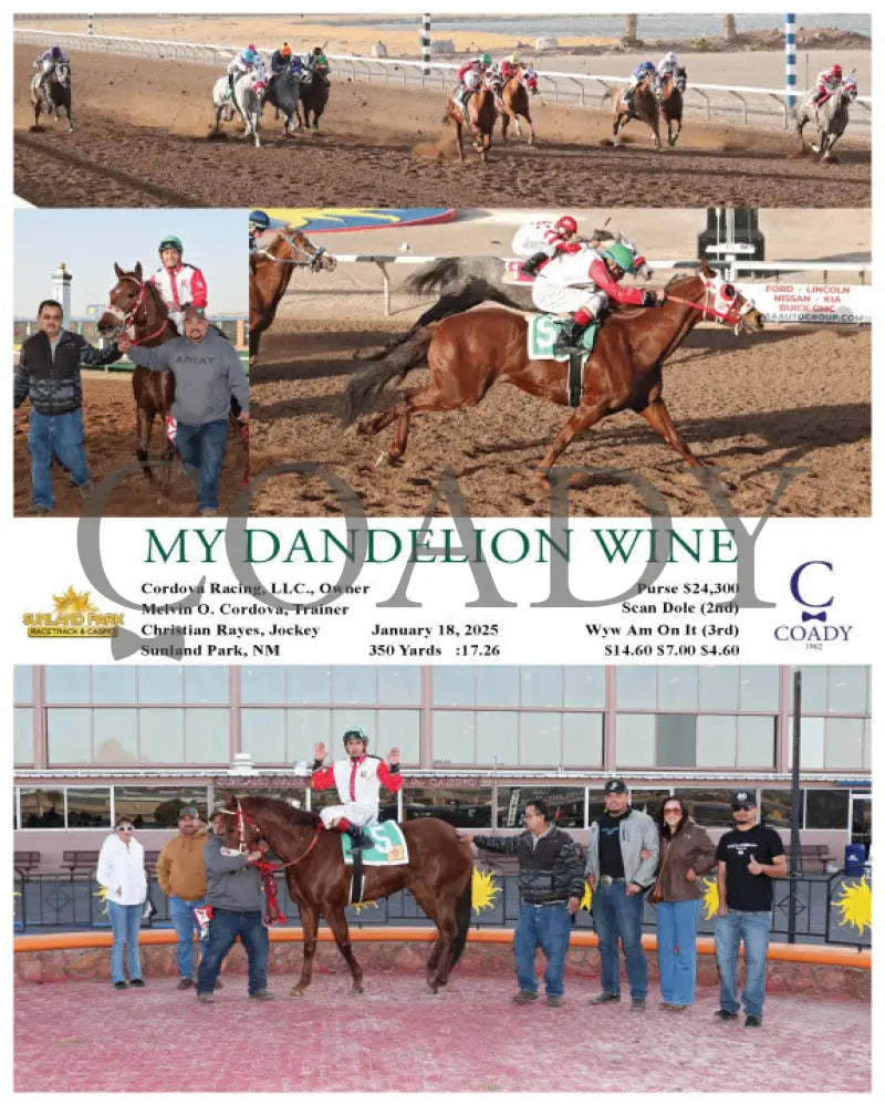 My Dandelion Wine - 01-18-25 R09 Sun Turfway Park