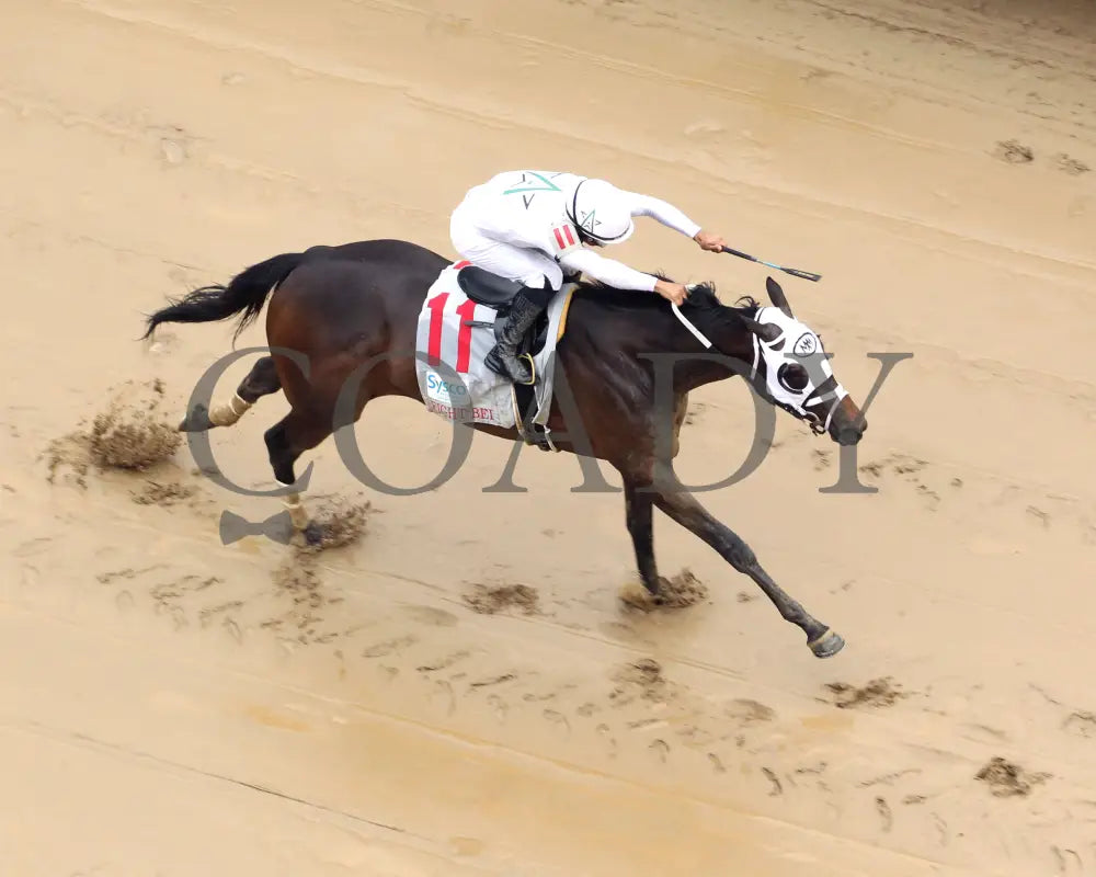 My Mane Squeeze - The Eight Belles G2 05-03-24 R09 Cd Aerial Finish 01 Churchill Downs