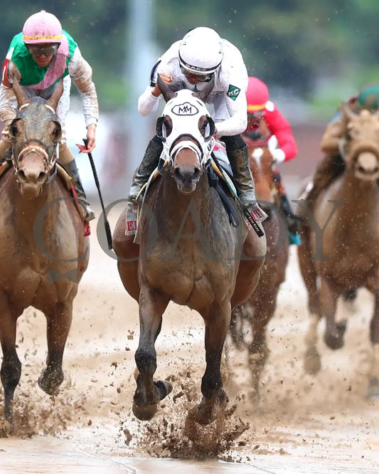 My Mane Squeeze - The Eight Belles G2 05-03-24 R09 Cd Head On 02 Churchill Downs