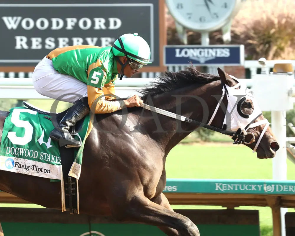 My Mane Squeeze - The Fasig-Tipton Dogwood G3 09-21-24 R08 Cd Finish 03 Churchill Downs