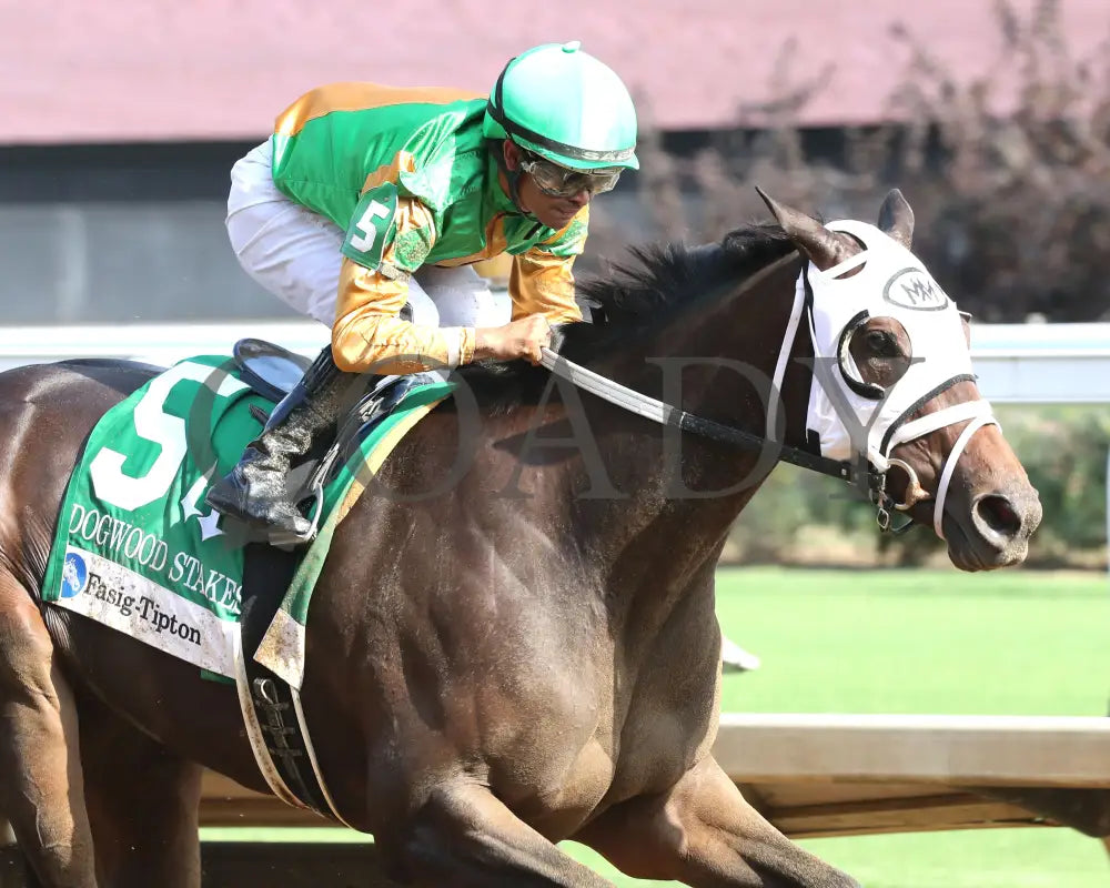My Mane Squeeze - The Fasig-Tipton Dogwood G3 09-21-24 R08 Cd Finish 04 Churchill Downs