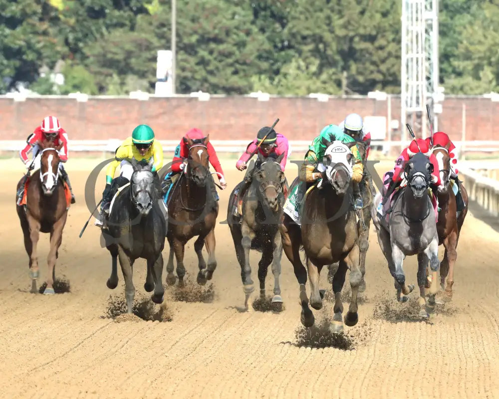 My Mane Squeeze - The Fasig-Tipton Dogwood G3 09-21-24 R08 Cd Head On 01 Churchill Downs