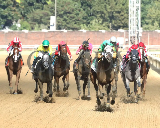 My Mane Squeeze - The Fasig-Tipton Dogwood G3 09-21-24 R08 Cd Head On 01 Churchill Downs