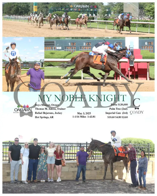 MY NOBLE KNIGHT - 050325 - Race 08 - OP Oaklawn Park