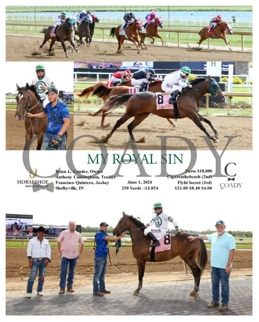 My Royal Sin - 06-01-24 R01 Ind Indiana Grand