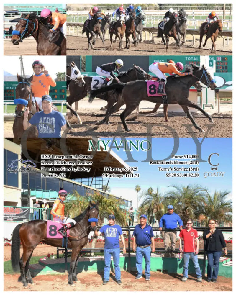 My Vino - 02-05-25 R04 Tup Turf Paradise