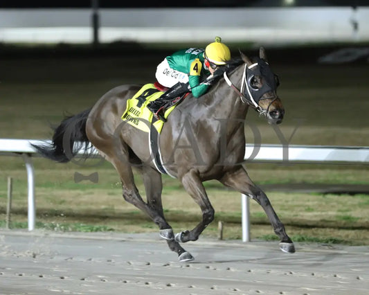 Myfriendsawinner - La Bred Premier Bon Temps Starter 02-03-24 R05 Delta Downs Finish 2