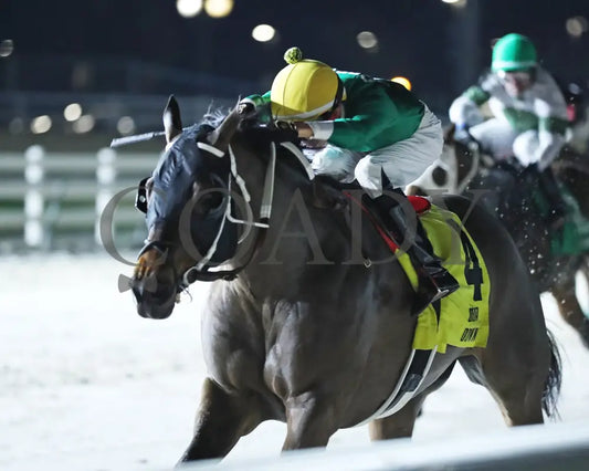 Myfriendsawinner - La Bred Premier Bon Temps Starter 02-03-24 R05 Delta Downs Inside Finish