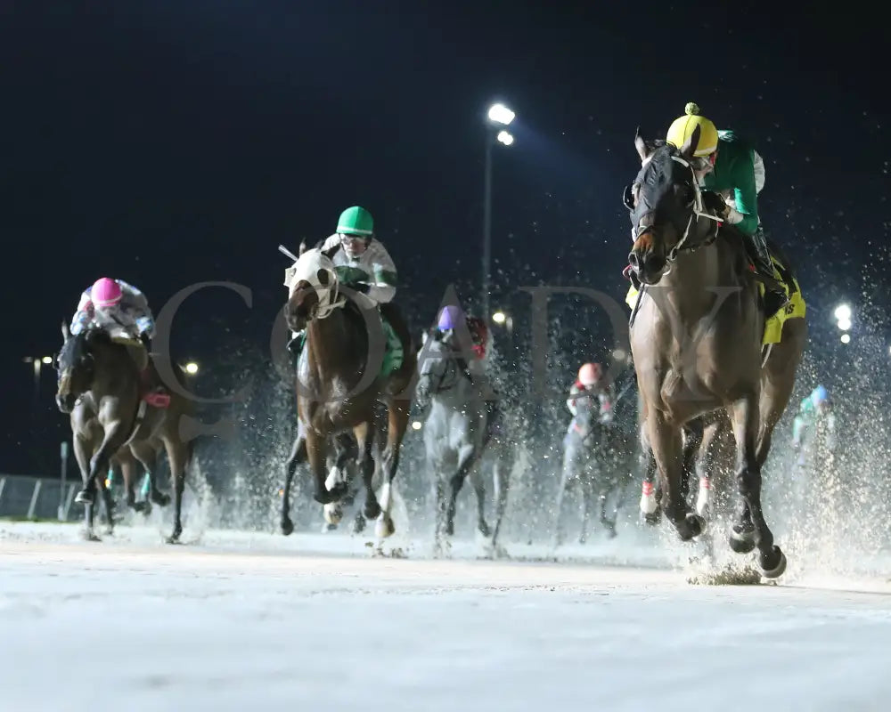 Myfriendsawinner - La Bred Premier Bon Temps Starter 02-03-24 R05 Delta Downs Under Rail