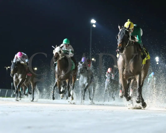 Myfriendsawinner - La Bred Premier Bon Temps Starter 02-03-24 R05 Delta Downs Under Rail