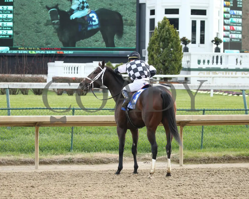 Mylady Curlin - Falls City G2 104Th Running 11-28-19 R09 Cd Come Back 01 Churchill Downs