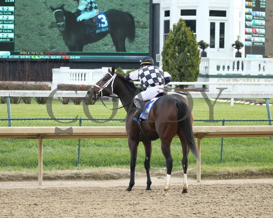 Mylady Curlin - Falls City G2 104Th Running 11-28-19 R09 Cd Come Back 01 Churchill Downs