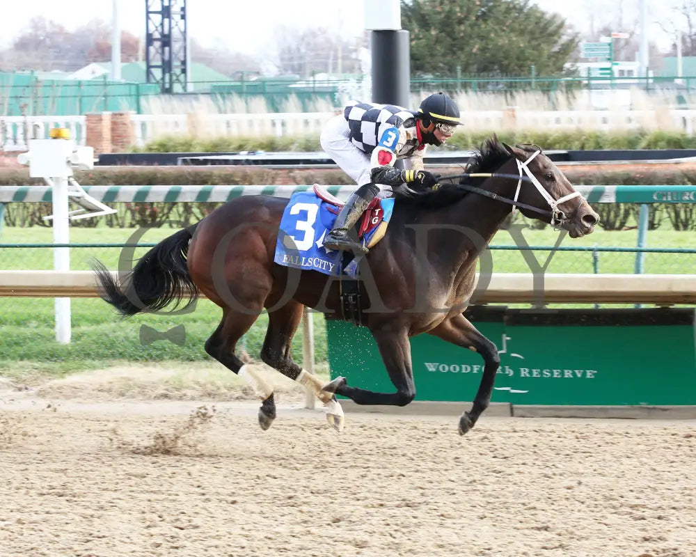 Mylady Curlin - Falls City G2 104Th Running 11-28-19 R09 Cd Finish 01 Churchill Downs