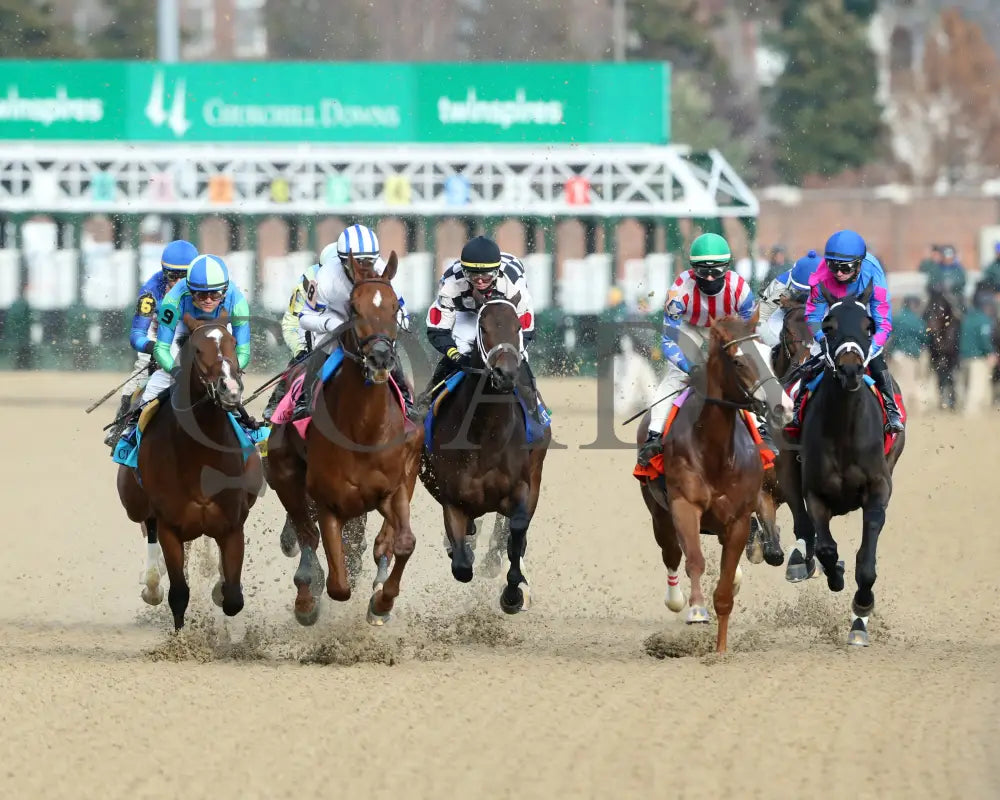 Mylady Curlin - Falls City G2 104Th Running 11-28-19 R09 Cd Head On 01 Churchill Downs