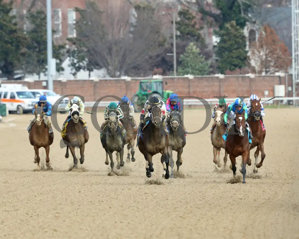Mylady Curlin - Falls City G2 104Th Running 11-28-19 R09 Cd Head On 02 Churchill Downs