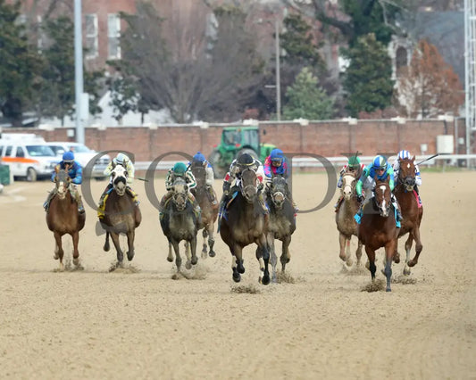 Mylady Curlin - Falls City G2 104Th Running 11-28-19 R09 Cd Head On 02 Churchill Downs