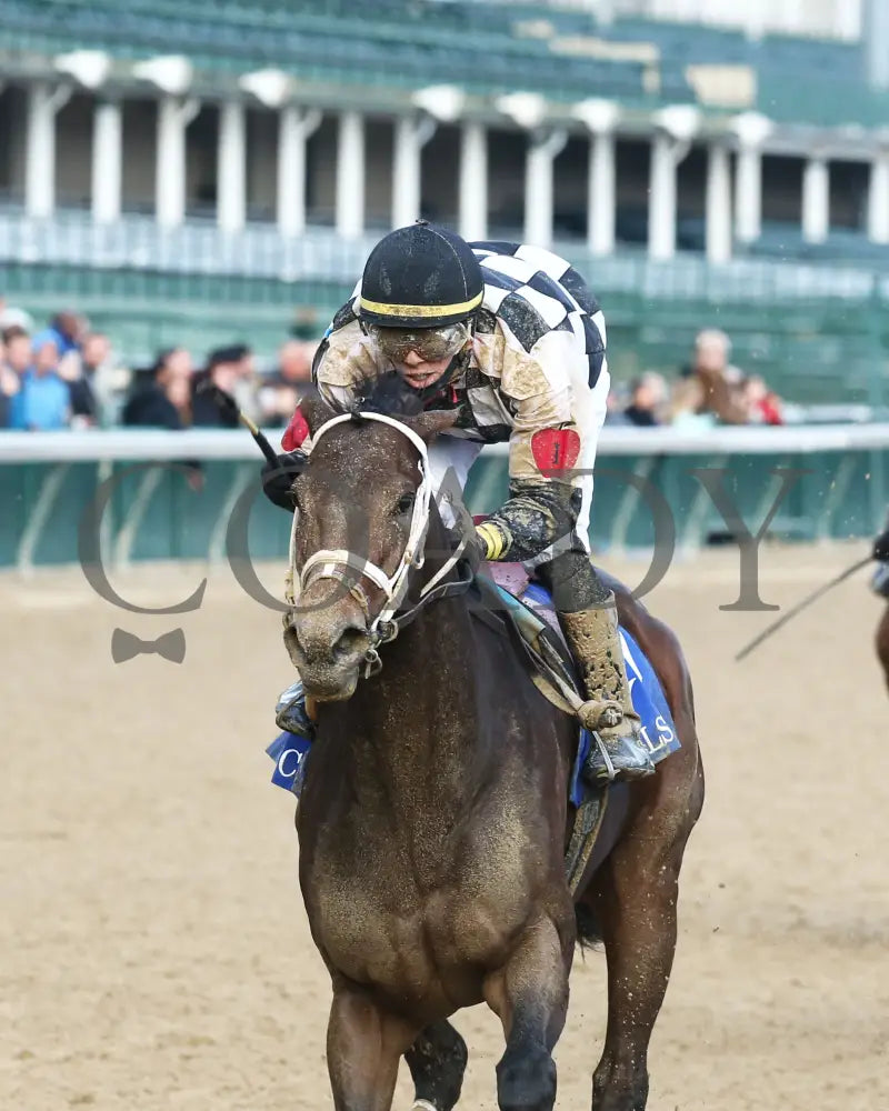 Mylady Curlin - Falls City G2 104Th Running 11-28-19 R09 Cd Inside Finish 01 Churchill Downs
