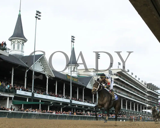 Mylady Curlin - Falls City G2 104Th Running 11-28-19 R09 Cd Under Rail 01 Churchill Downs