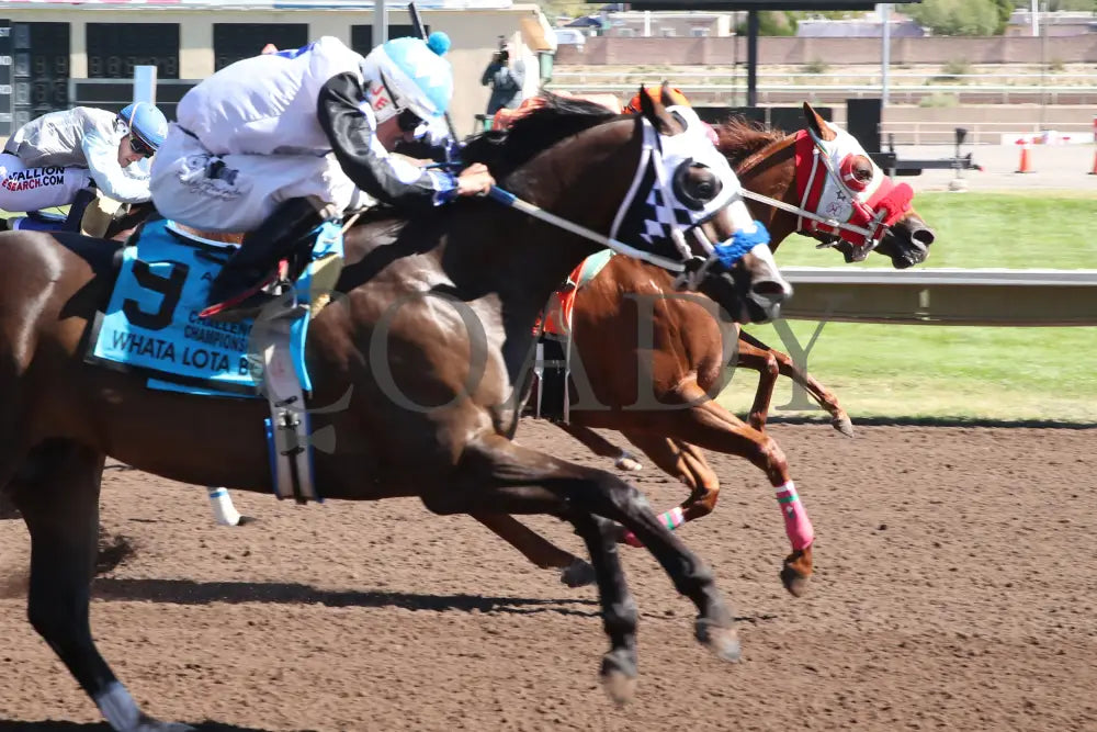 MYSTERIOUS CARTEL - The Adequan Derby Challenge Championship Glll - 10-18-25 - R09 - The Downs at Albuquerque - Finish