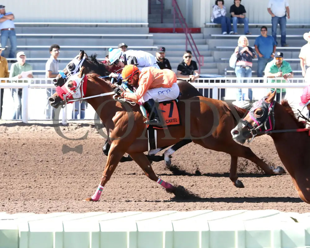 MYSTERIOUS CARTEL - The Adequan Derby Challenge Championship Glll - 10-18-25 - R09 - The Downs at Albuquerque - Finish