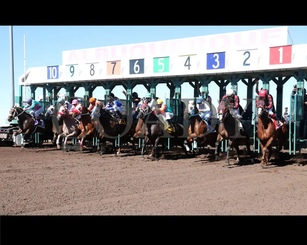 MYSTERIOUS CARTEL - The Adequan Derby Challenge Championship Glll - 10-18-25 - R09 - The Downs at Albuquerque