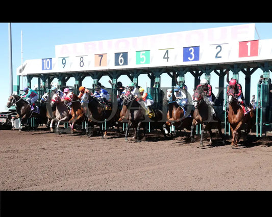 MYSTERIOUS CARTEL - The Adequan Derby Challenge Championship Glll - 10-18-25 - R09 - The Downs at Albuquerque