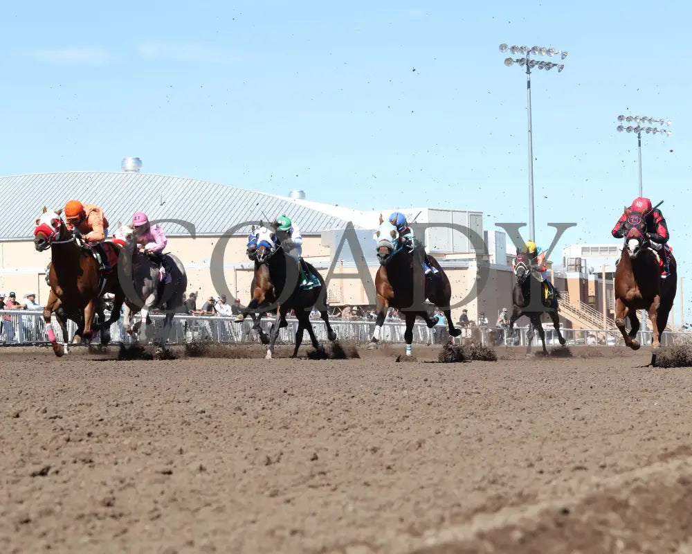 MYSTERIOUS CARTEL - The Adequan Derby Challenge Championship Glll - 10-18-25 - R09 - The Downs at Albuquerque - Start