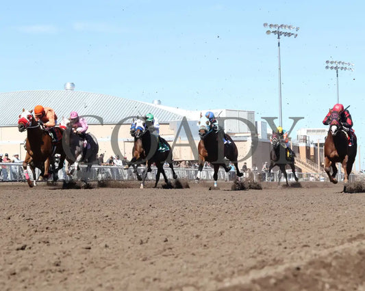 MYSTERIOUS CARTEL - The Adequan Derby Challenge Championship Glll - 10-18-25 - R09 - The Downs at Albuquerque - Start