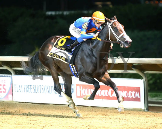 Mystic Lake - 082324 Race 10 Ct Charles Town Oaks G2 16Th Running Finish 02 Hollywood Casino At