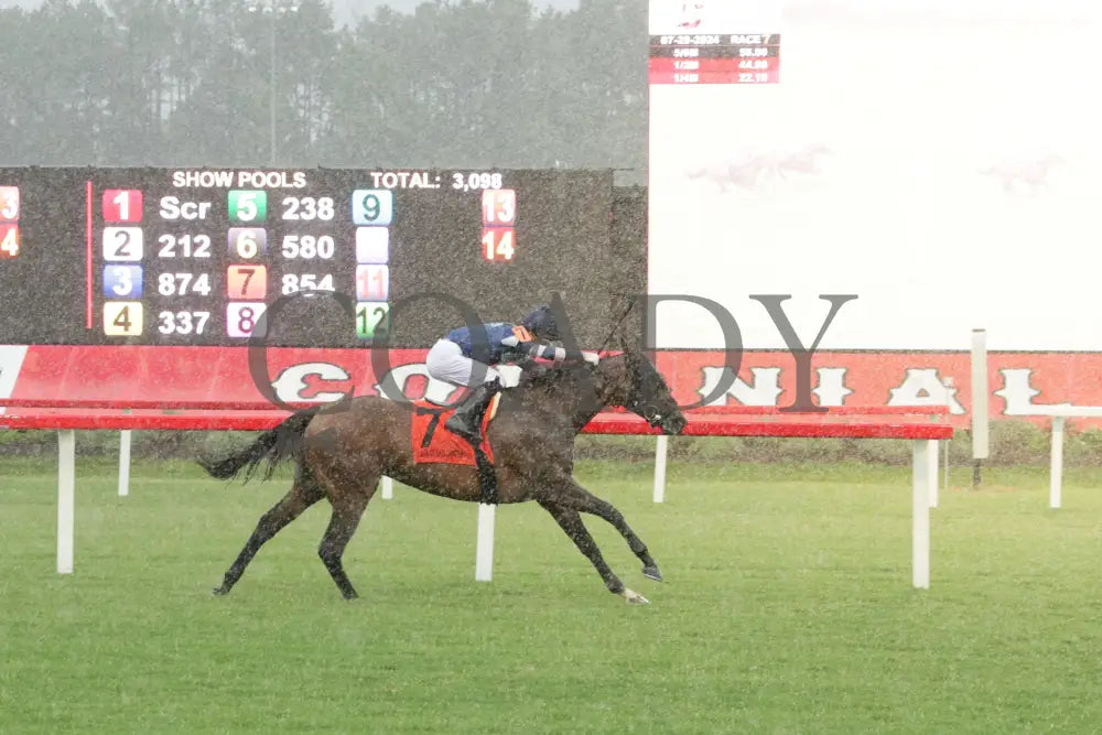 Mystic Seaport - The Tyson Gilpin Glenn Petty Stakes 07-20-24 R07 Colonial Downs Finish Maddy