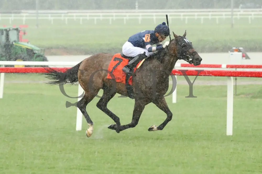 Mystic Seaport - The Tyson Gilpin Glenn Petty Stakes 07-20-24 R07 Colonial Downs Finish Mark