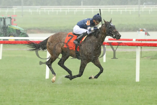 Mystic Seaport - The Tyson Gilpin Glenn Petty Stakes 07-20-24 R07 Colonial Downs Finish Mark