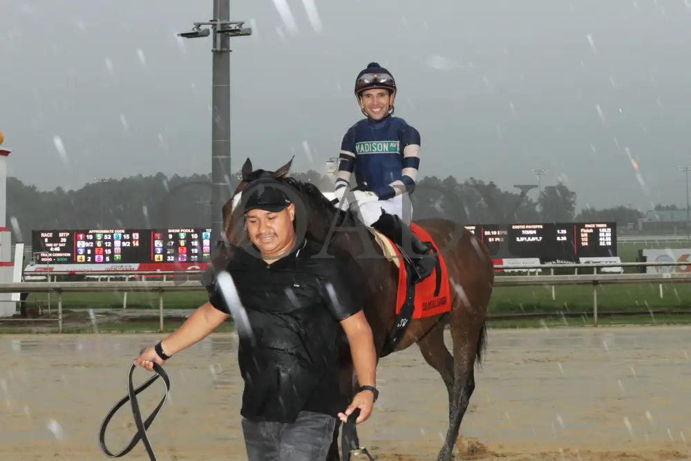 Mystic Seaport - The Tyson Gilpin Glenn Petty Stakes 07-20-24 R07 Colonial Downs Return Shot.Jpg