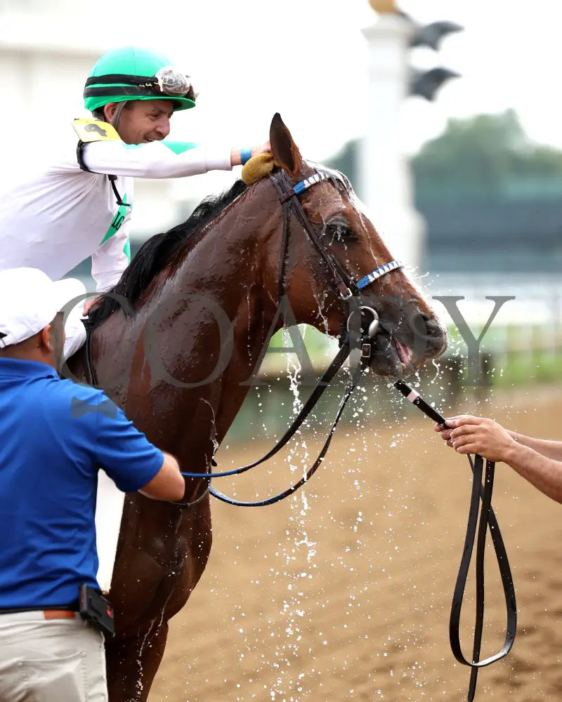 MYSTIK DAN - 053125 - Race 10 - CD The Blame G3 - 6th Running - Mystik Dan 01 Churchill Downs