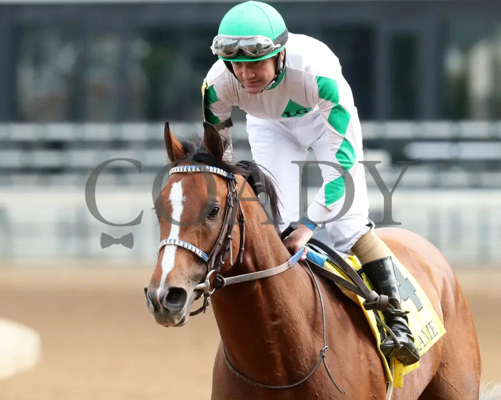 MYSTIK DAN - 053125 - Race 10 - CD The Blame G3 - 6th Running - Come Back 02 Churchill Downs