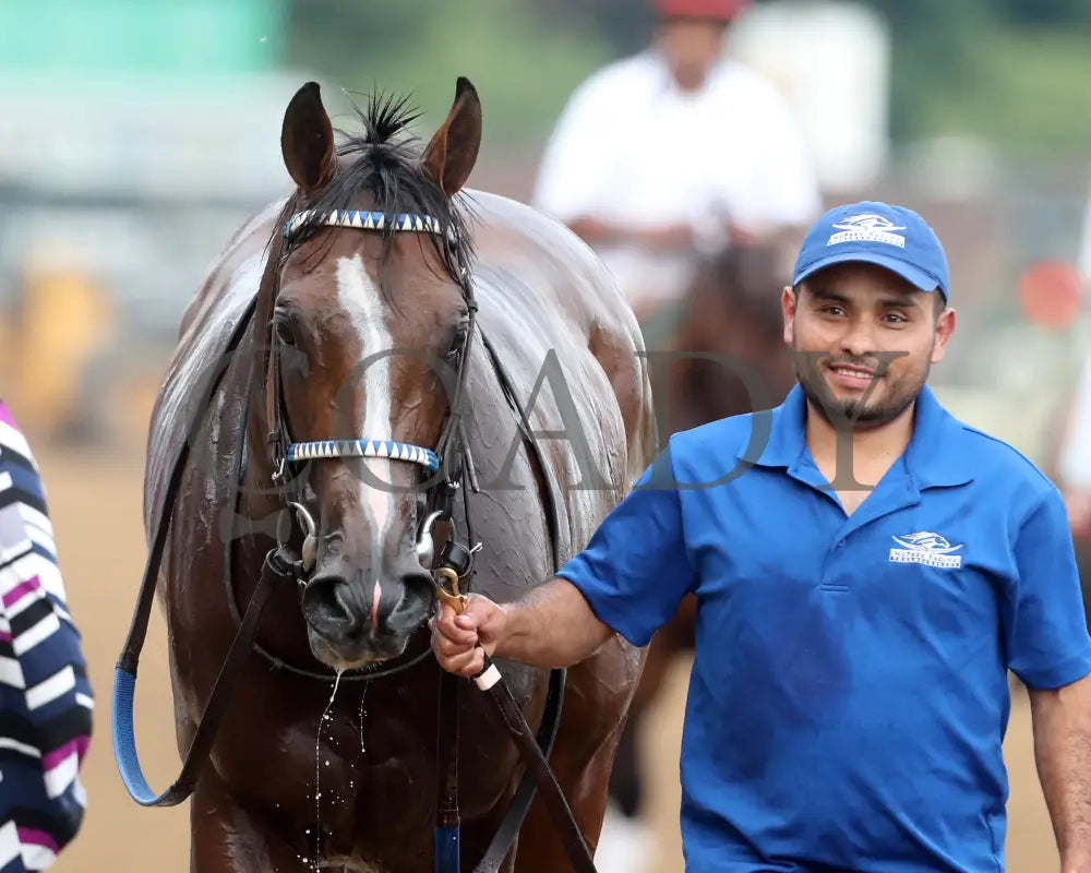 MYSTIK DAN - 053125 - Race 10 - CD The Blame G3 - 6th Running - Come Back 03 Churchill Downs