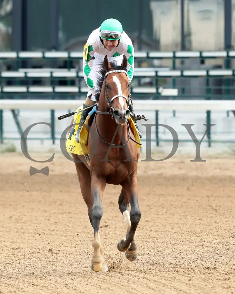 MYSTIK DAN - 053125 - Race 10 - CD The Blame G3 - 6th Running - Come Back 07 Churchill Downs